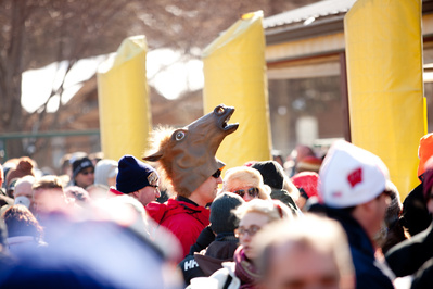 Horse head! 
