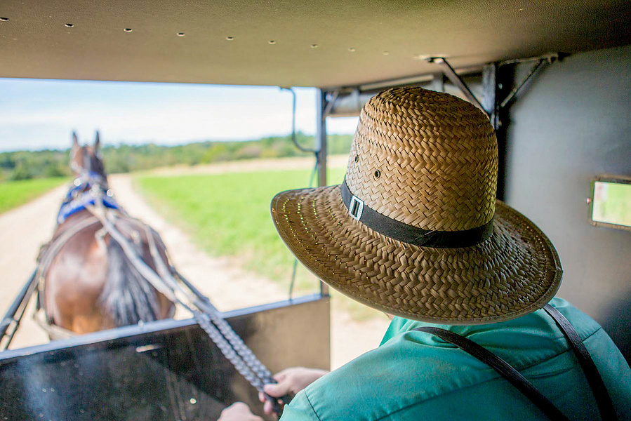 The back of an amish guy while he is pulling a horse and buggy. 