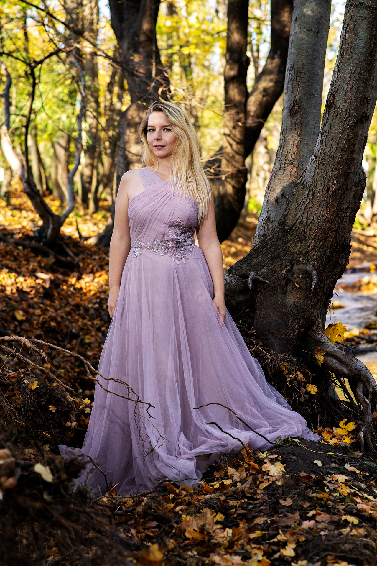 Frau im eleganten Ballkleid mitten im Wald – stimmungsvolle Portraitfotografie aus Niederösterreich. Niederösterreich, Tulln, Krems an der Donau