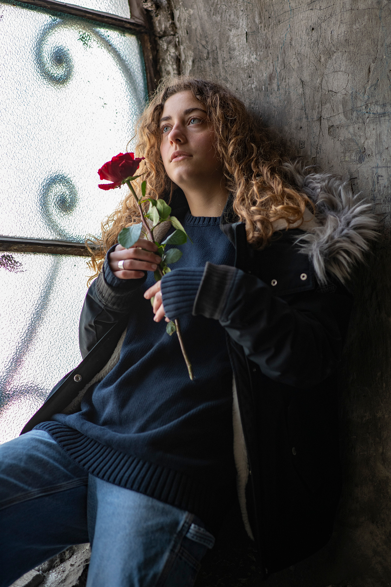 Mädchen mit lockigem Haar hält rote Rose am Fenster – zartes, poetisches Portrait mit natürlichem Licht. Niederösterreich, Tulln, Krems an der Donau