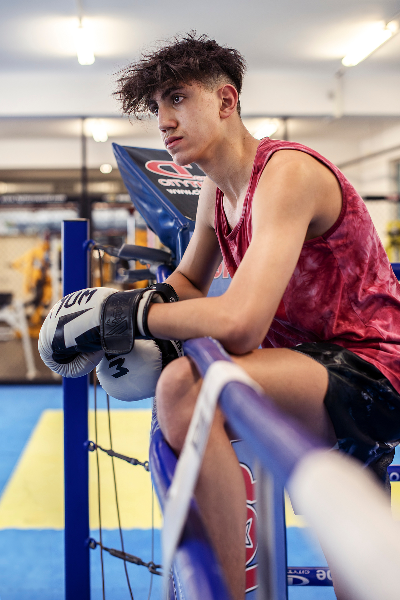 Starkes Porträt eines Boxers – kraftvoll, fokussiert und voller Energie, aufgenommen in natürlichem Licht. Niederösterreich, Tulln, Krems an der Donau