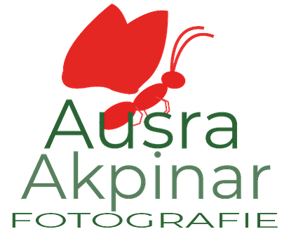 Ausra Akpinar, Fotografie