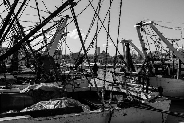 Black and white photo of the harbor in Bisceglie