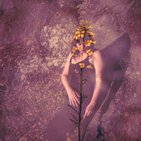 Asheville Portrait Photographer