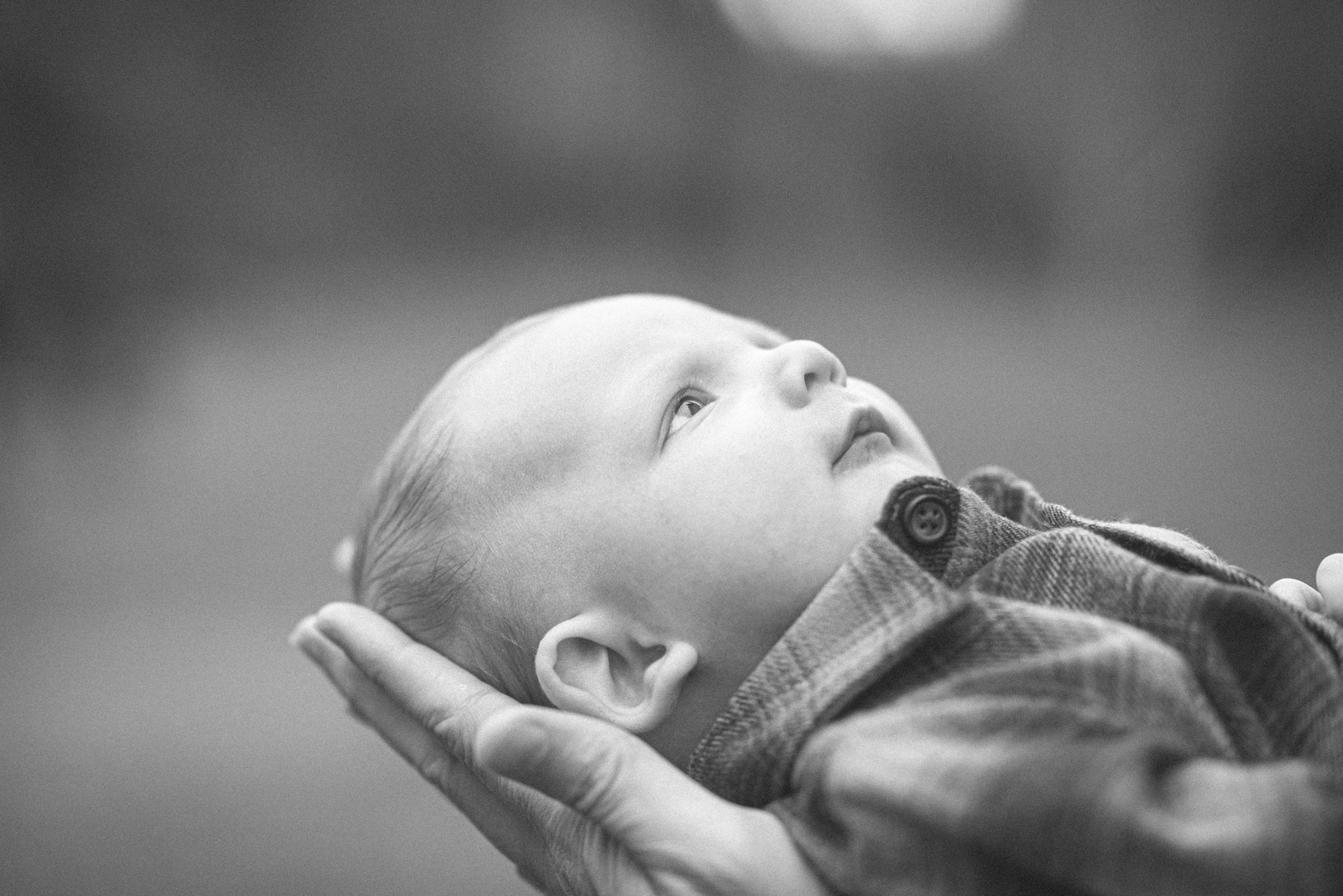 Asheville Family Photographer