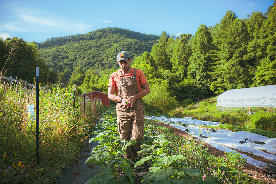 Asheville Portrait Photographer