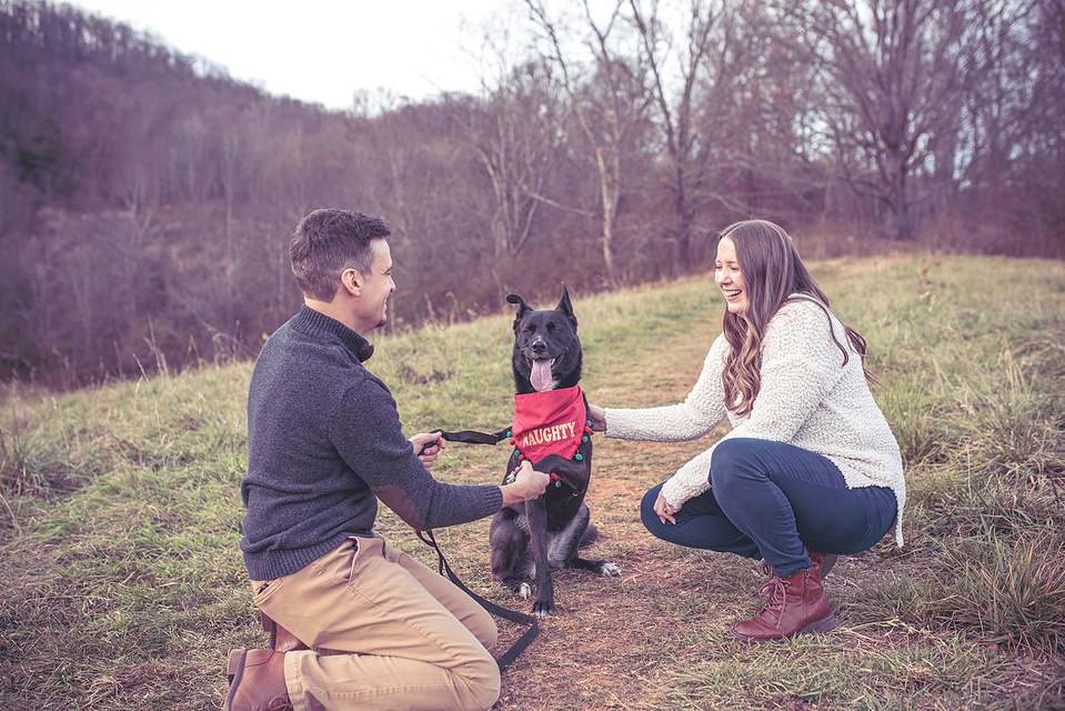 A pet portrait taken at Bailey Mountain Preserve in Mars Hill, outside of Asheville, NC