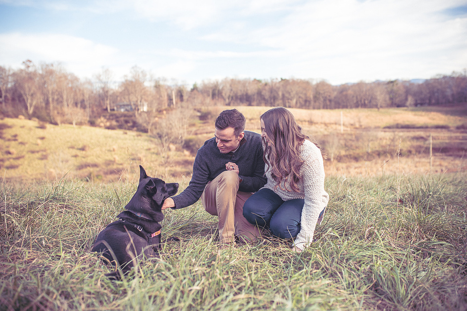 A family photography session at Mountain Bailey Preserve in Mars Hill, outside of Asheville, NC