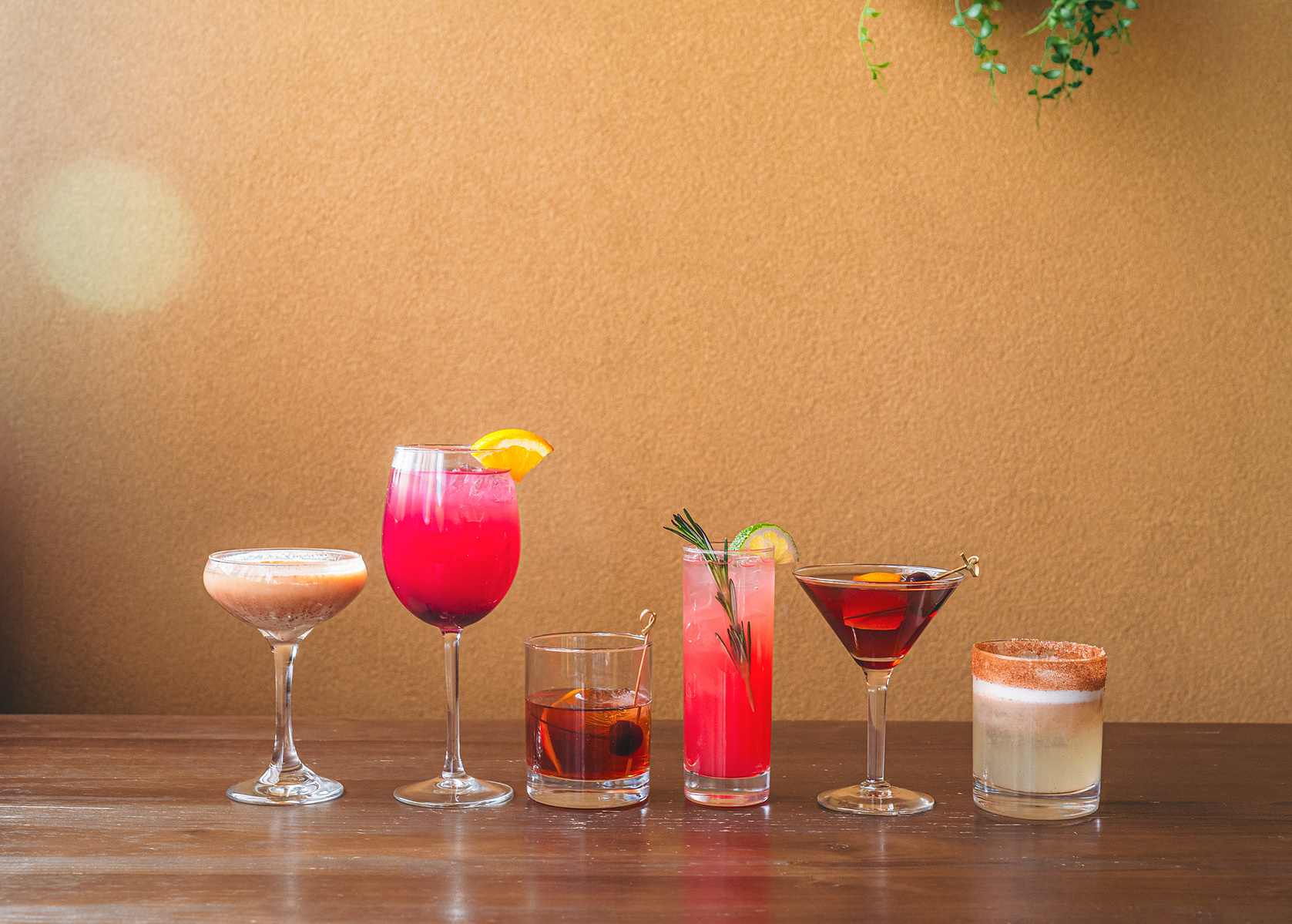 The cocktail lineup from Vinnie's winter cocktail menu in South Asheville captured by Asheville food photographer GraceD Photography.