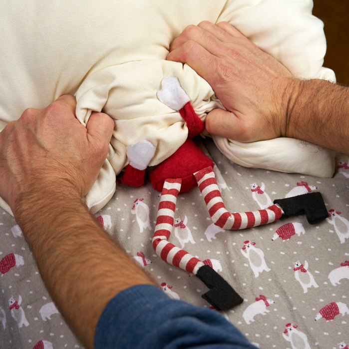 Elf Off, The Tragic End to an Elf Tradition.
https://elfoff.com