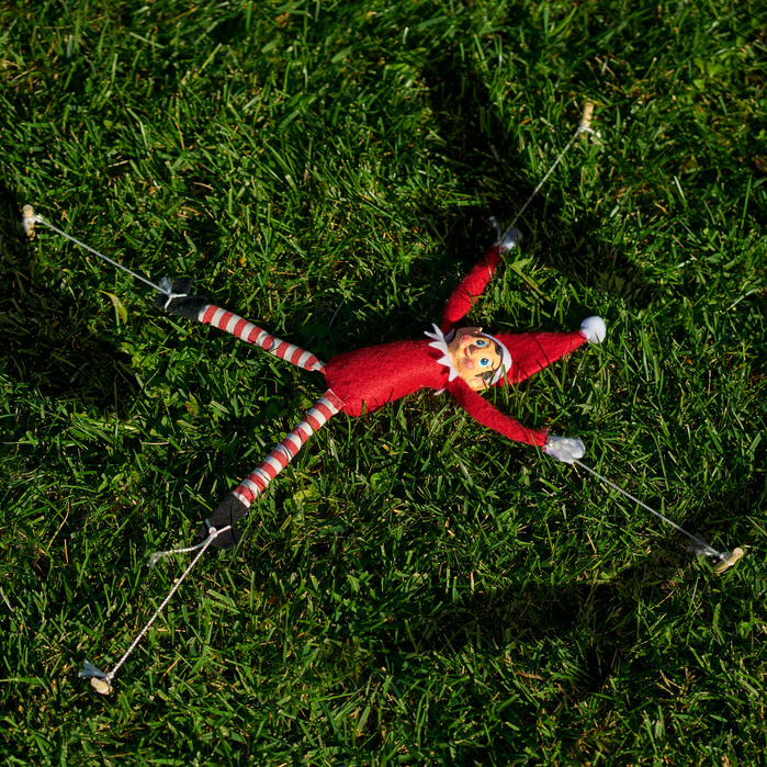 Elf Off, The Tragic End to an Elf Tradition.
https://elfoff.com