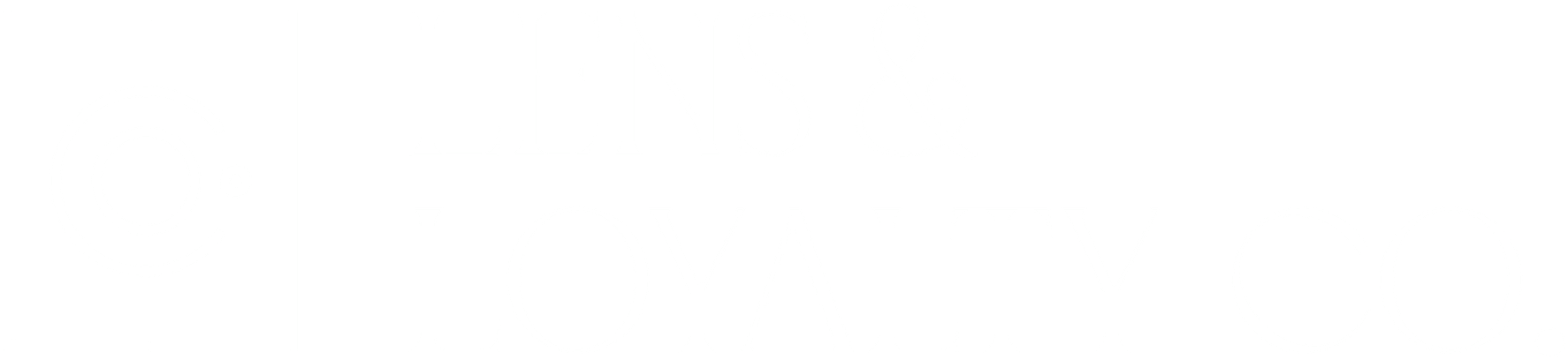 Lens And Loyalty Co.'s Portfolio