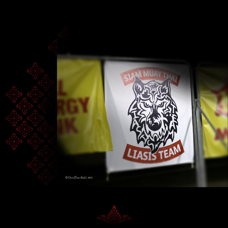Banner with the logo of Siam Muay Thai Liasis Team, a Muay Thai school of martial arts in Cyprus, depicting a wolf with hidden words in the design.