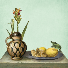 claire middleton, collage, graphics, art direction, branding, packaging design