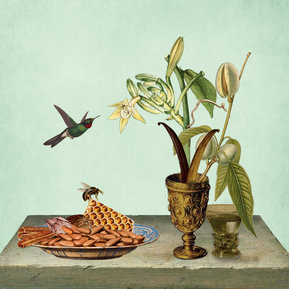 claire middleton, collage, graphics, art direction, branding, packaging design