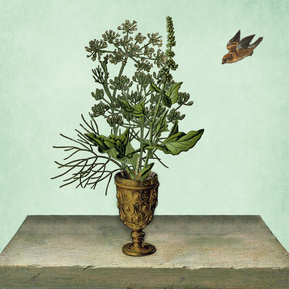 claire middleton, collage, graphics, art direction, branding, packaging design