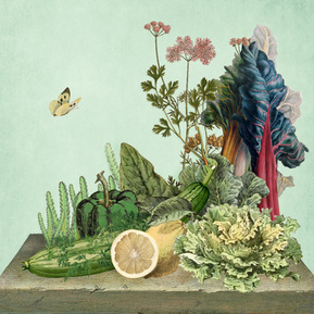 claire middleton, collage, graphics, art direction, branding, packaging design