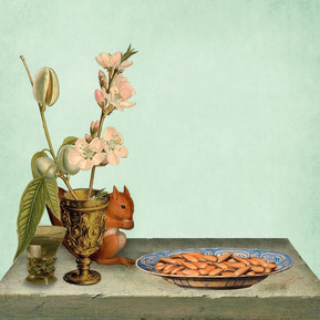 claire middleton, collage, graphics, art direction, branding, packaging design
