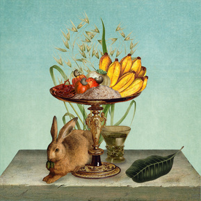 claire middleton, collage, graphics, art direction, branding, packaging design