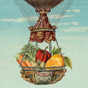 claire middleton, collage, graphics, art direction, branding, packaging design