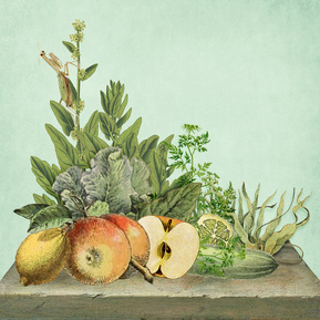 claire middleton, collage, graphics, art direction, branding, packaging design