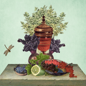 claire middleton, collage, graphics, art direction, branding, packaging design