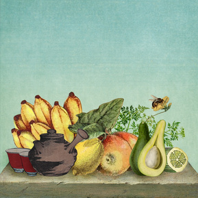 claire middleton, collage, graphics, art direction, branding, packaging design