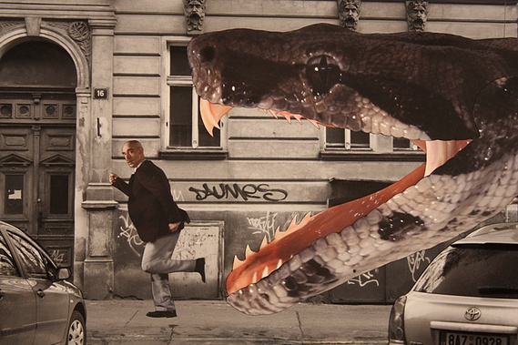 Claire Middleton, Jan Svankmajer's Surviving Life 