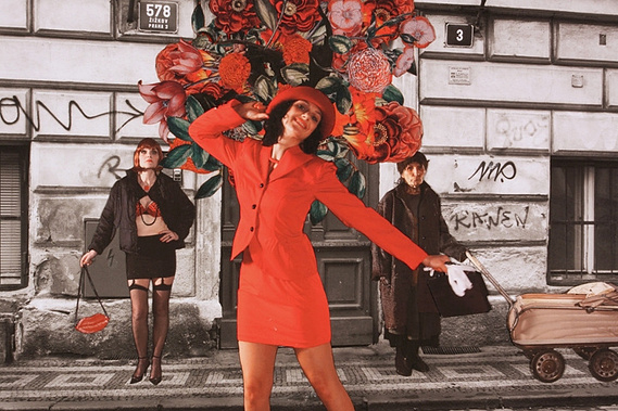 Claire Middleton, Jan Svankmajer's Surviving Life 