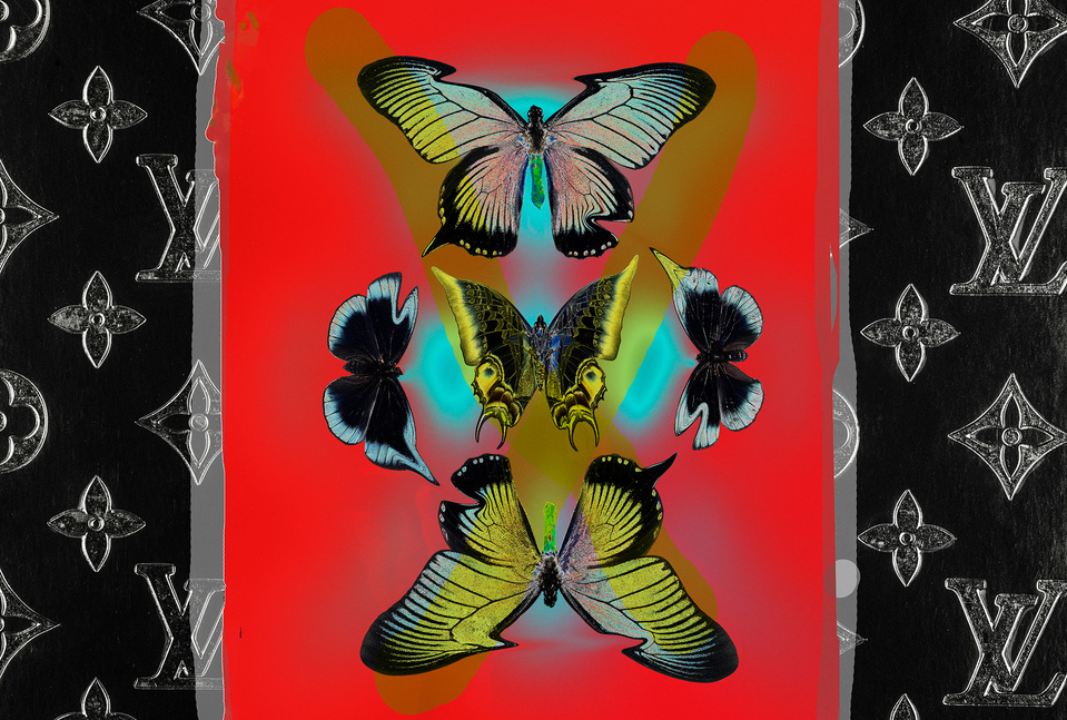 lv and butterfly wallpaper
