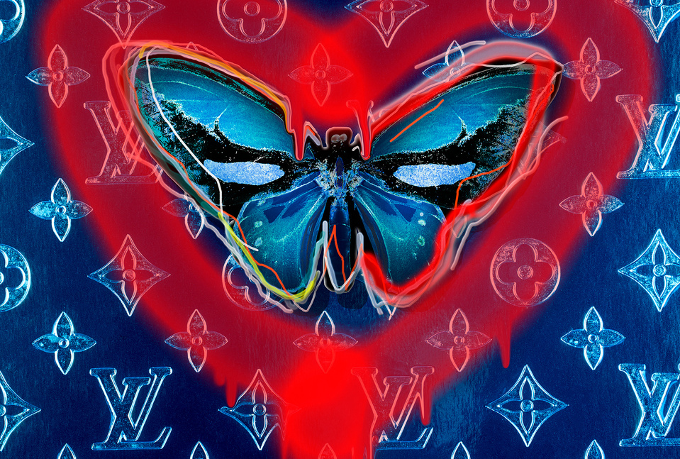 Butterfly With LV With Spray Paint - David Stesner's Portfolio