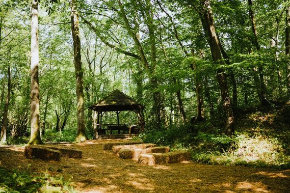 exclusive woodland weddings ceremony area in the forest