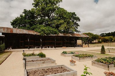 silchester farm vegetable gardens