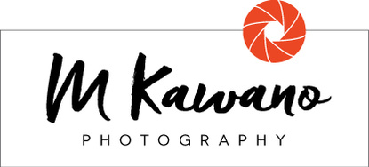Michael Kawano's Portfolio