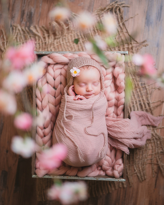 Floral theme newborn photoshoot. Mequon newborn photoshoot. 