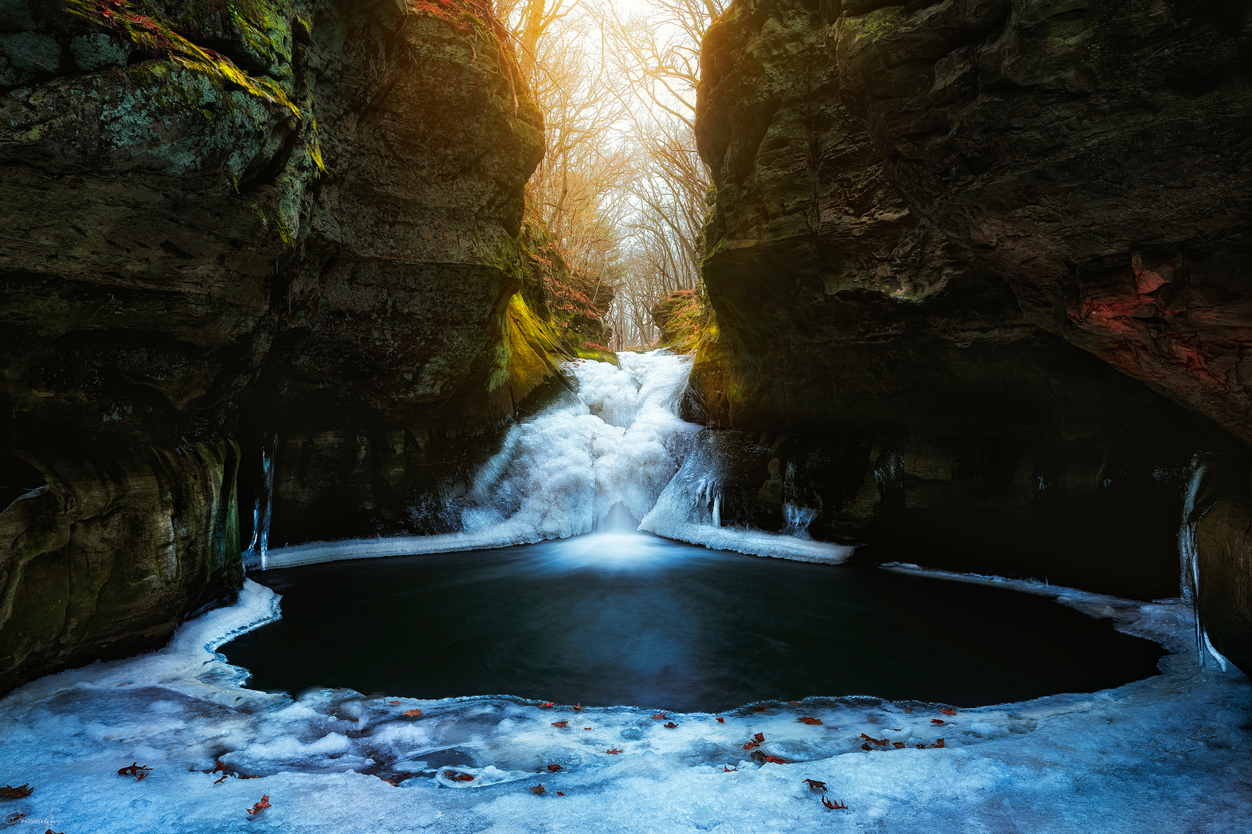 pewits nest, landscape, Wisconsin, frozen,