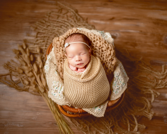 Stunning newborn photoshoot in Mequon Wisconsin. Mequon newborn photographer. 