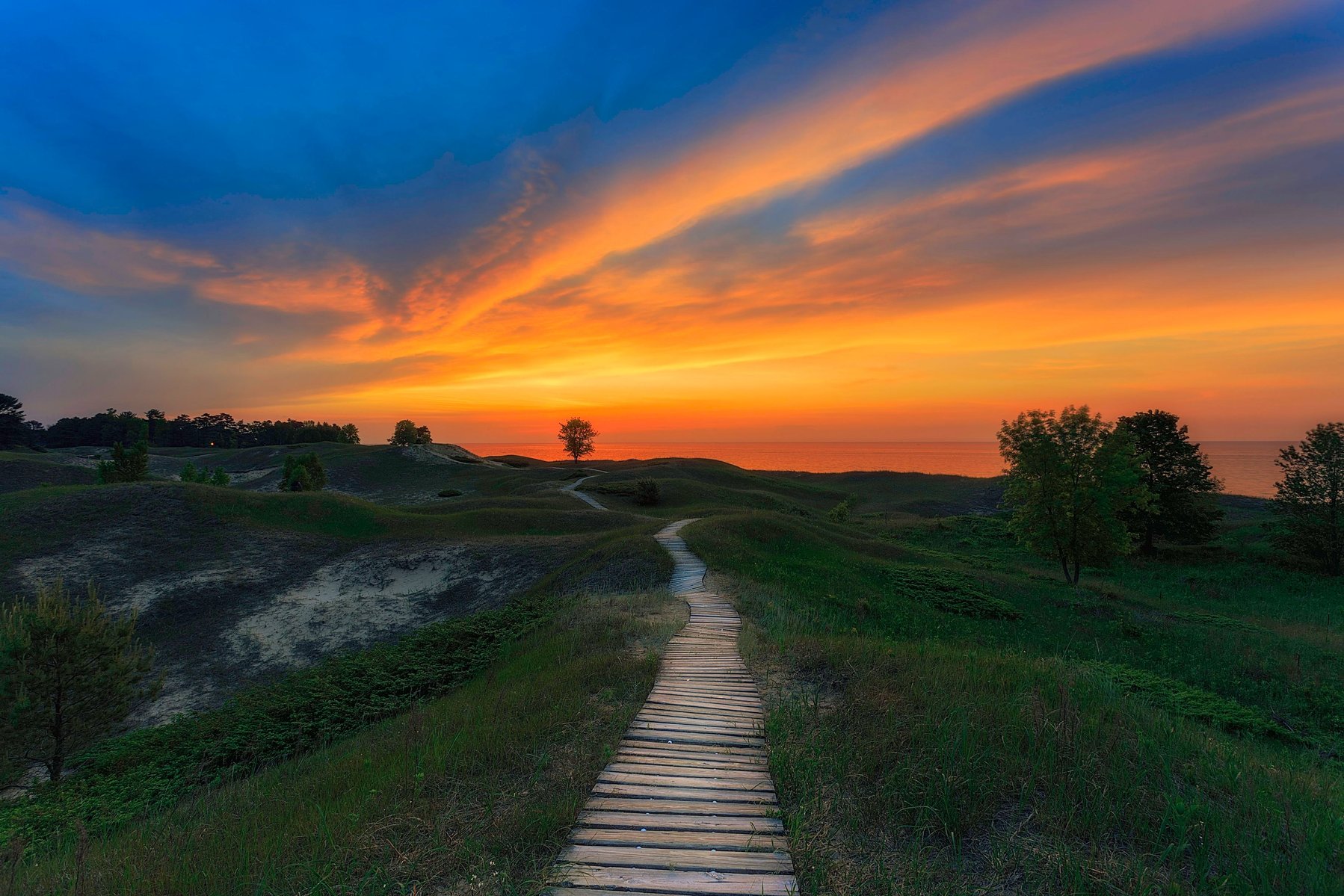 nature, morning, landscape