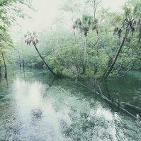 Evening light, palm trees, freshwater spring