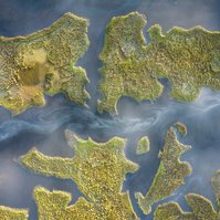 Aerial view, Florida marshes