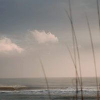 Soft light, ocean and sand dunes, Florida beach