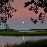 Moonrise over salt marshes, Cedar point Florida