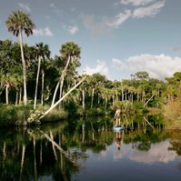 Woman paddles along a quiet Florida creek, palm trees line the bank