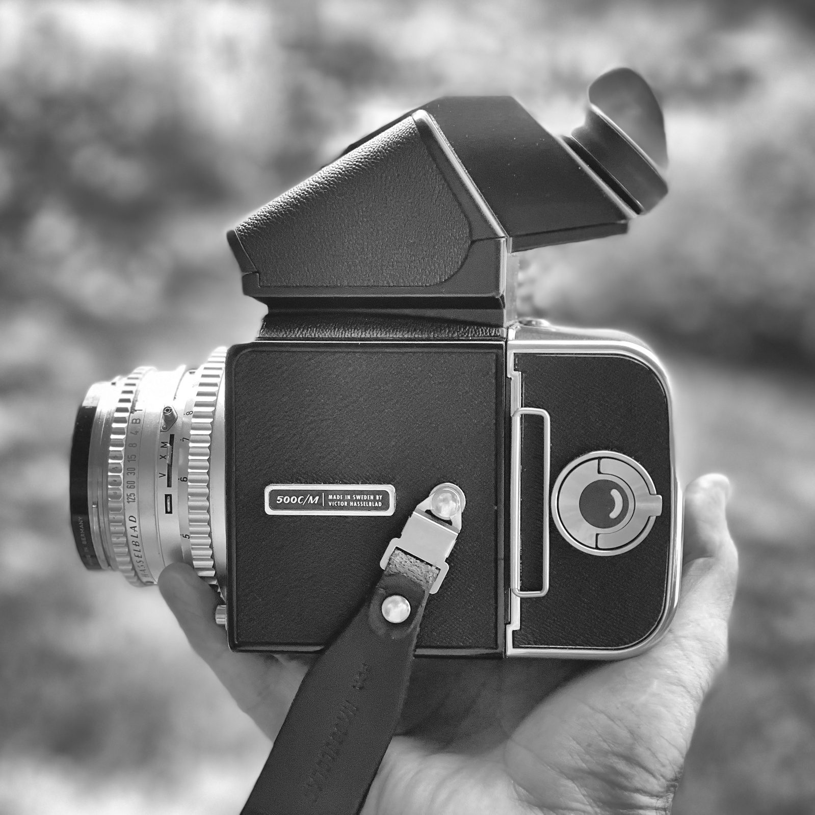 My vintage Hasselblad 500 CM with 80mm 2.8 Compur Lens