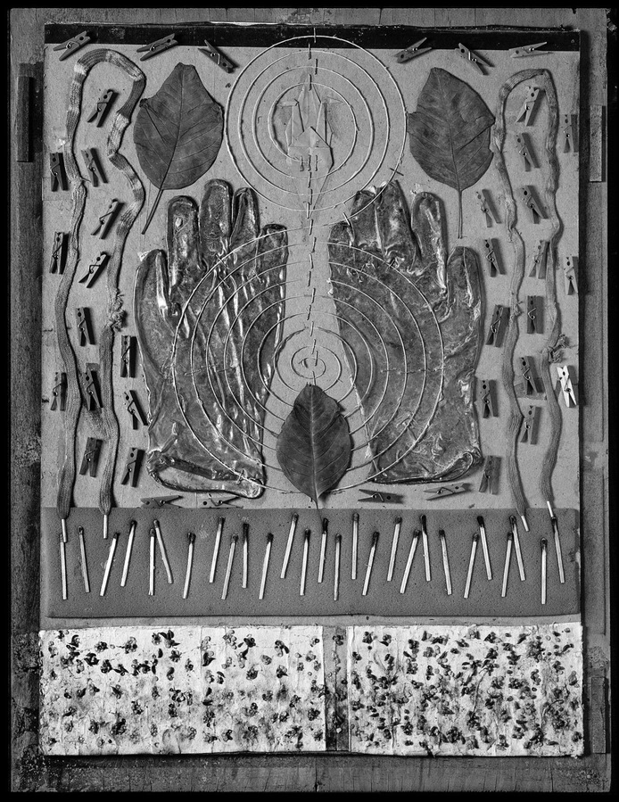 Still life collage of various objects affixed to a board.