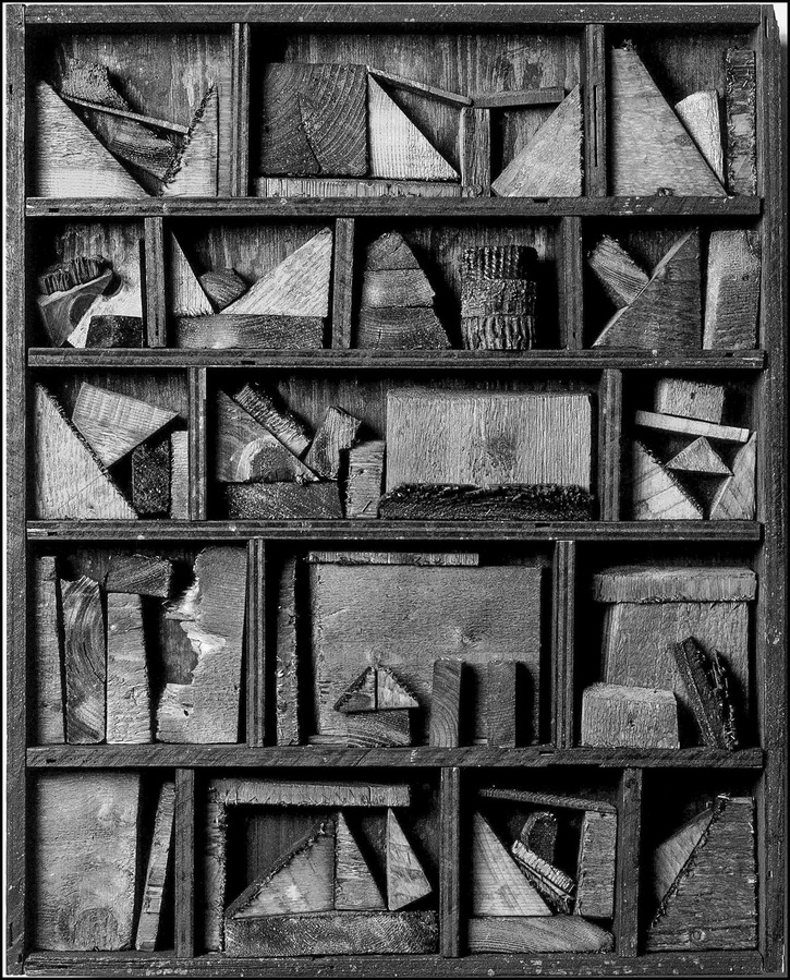 Still life of chips of wood arranged in a compartmented shelf or box.