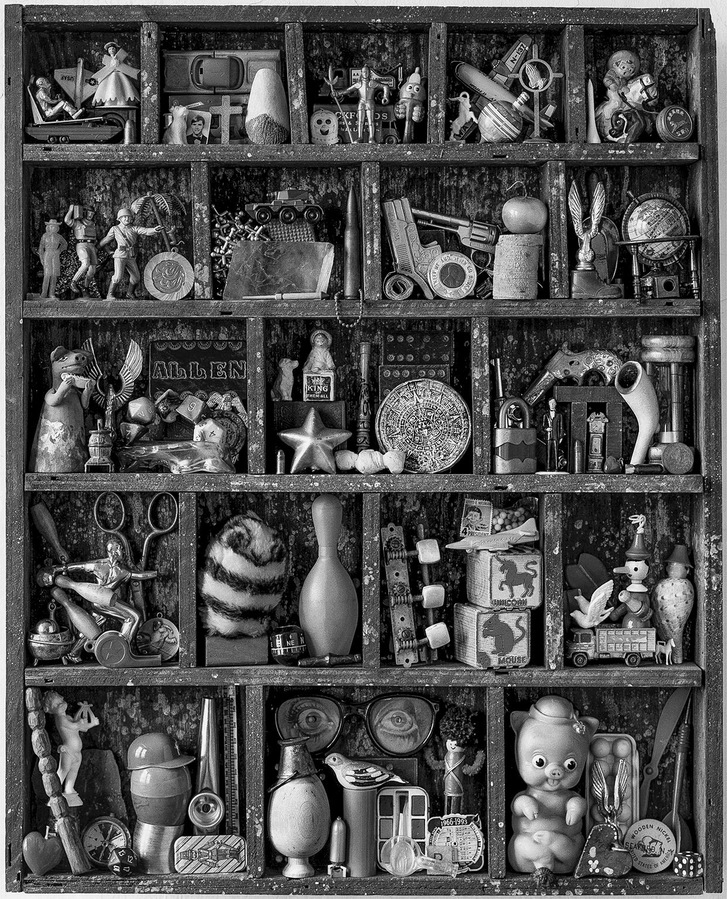 Still life of various objects arranged in a compartmented shelf or box.