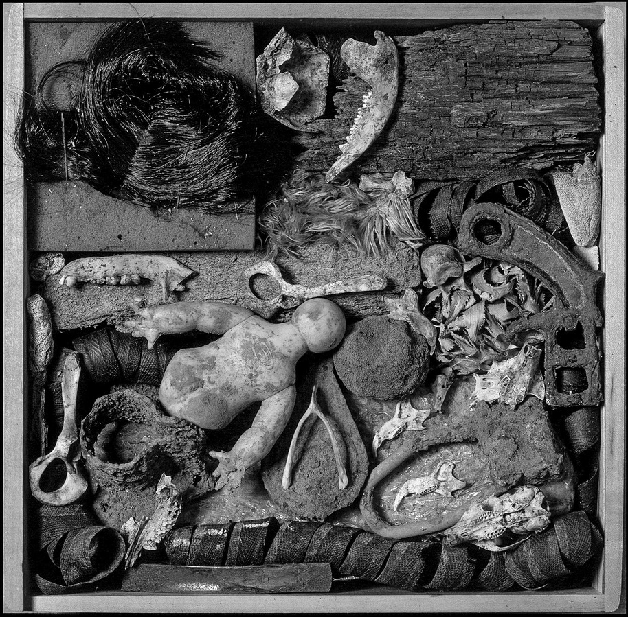 Still life of various objects arranged in a box.