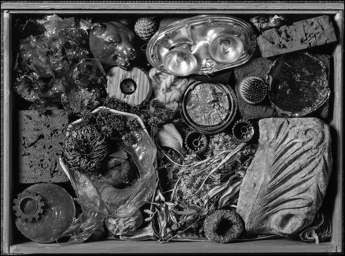 Still life of various objects arranged in a box.