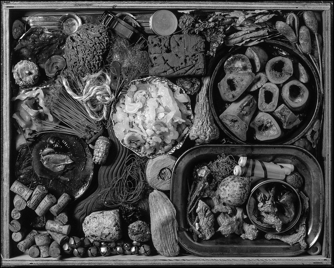 Still life of various objects arranged in a box.
